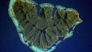 Coral Creeps Up Island Slopes to Stay at the Surface